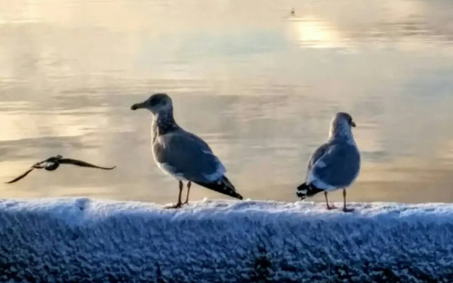 Braeside Country Inn