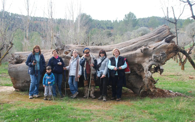 Casa Rural Rio Cabriel