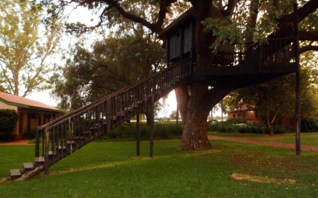 Sondela Nature Reserve & Spa Moselesele Tents