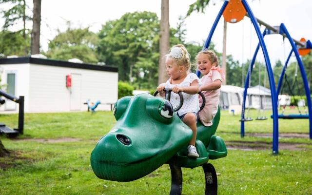 Luxurious Villa With Dishwasher, in the Nature of De Veluwe