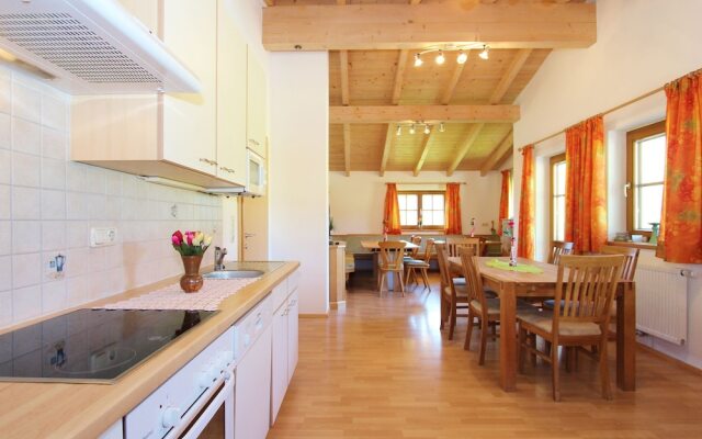 Large Apartment in Salzburg With Swimming Pool
