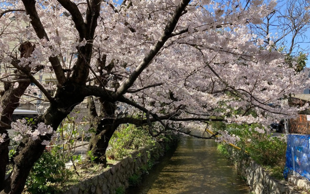 Genji Kyoto, a Member of Design Hotels