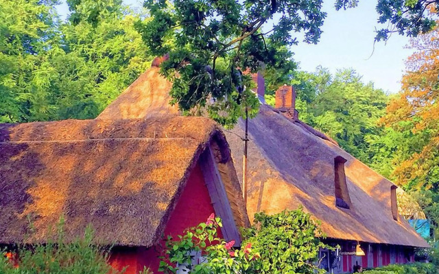 Wegekaten - Ferienwohnungen unter Reet