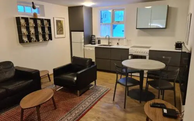 Lækjargata apartment