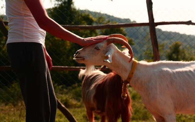 Narköy Ecologic Hotel & Organic Farm