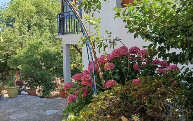 Grandpa s Ouse in Tsagkarada