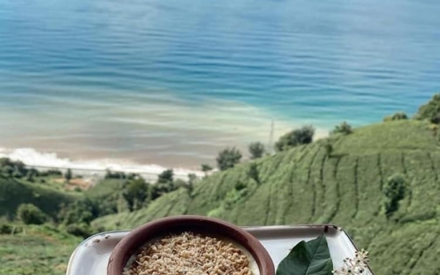 Tepedebiyer Restoran & Bungalov