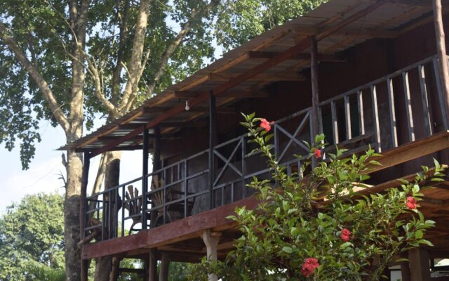 tree house and beautiful hostel sigiriya