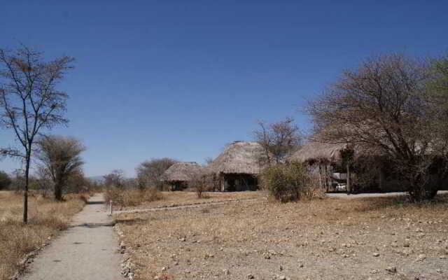 Whistling Thorn Tented Camp