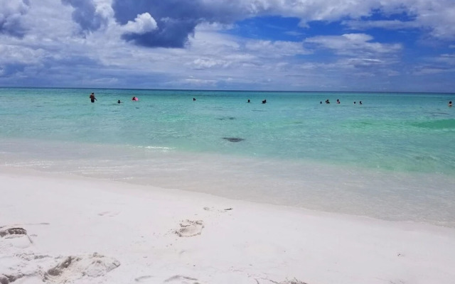 Lakeview #6- Emerald Searenity