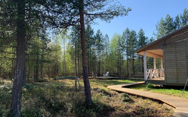 Вереск на локации Тайга