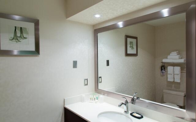 Holiday Inn & Suites Windsor Ambassador Bridge by IHG