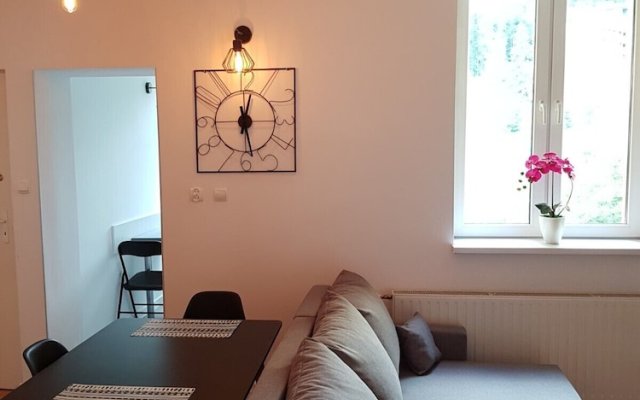 Apartament City Center Grand Loft