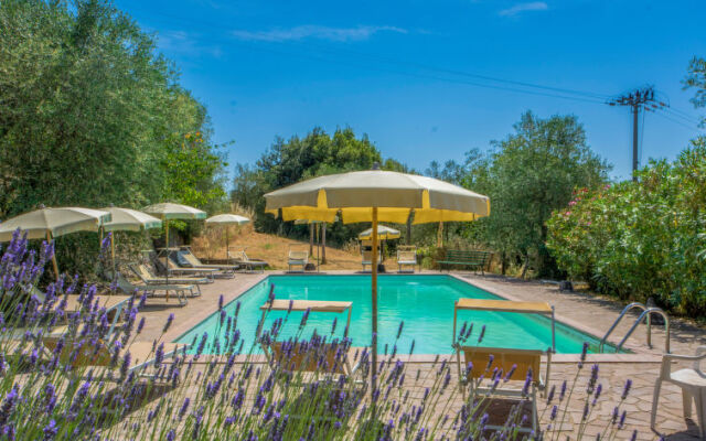 Locazione Turistica Il Cardo