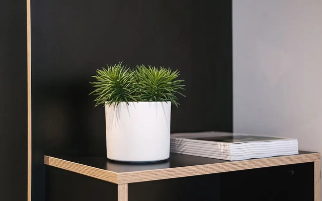 MoLiving - Design Hotel & Apartments Düsseldorf-Neuss