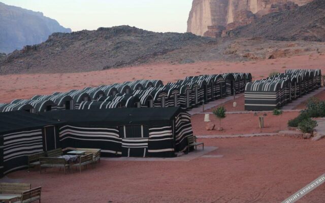 Bedouin habits tours camp