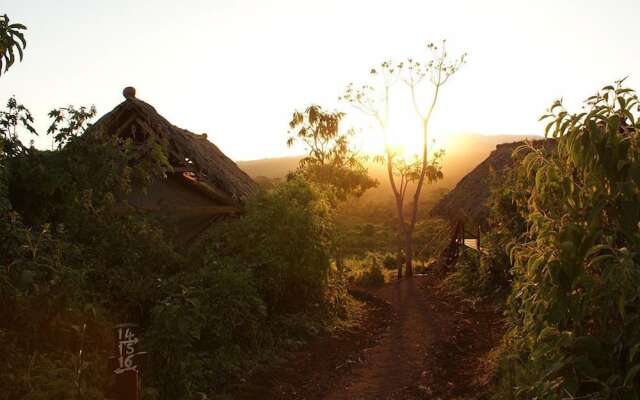 Crater Forest Tented Camp