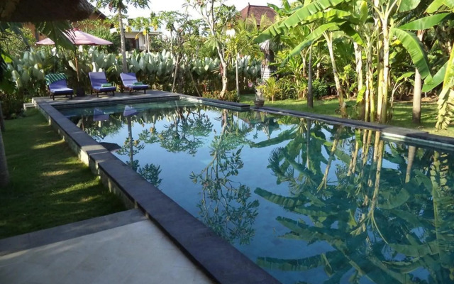 Pazzo Bali