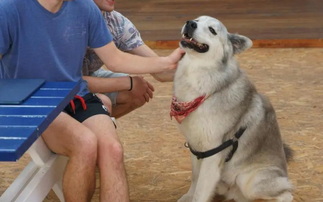 AKTION Peniche Hostel & Apartments