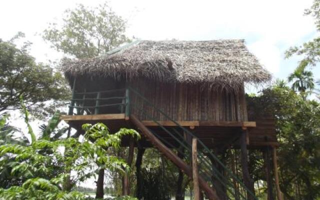 Kumbuk Tree House