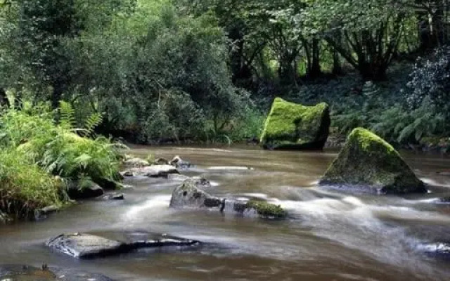 Glamping des 2 Marguerites