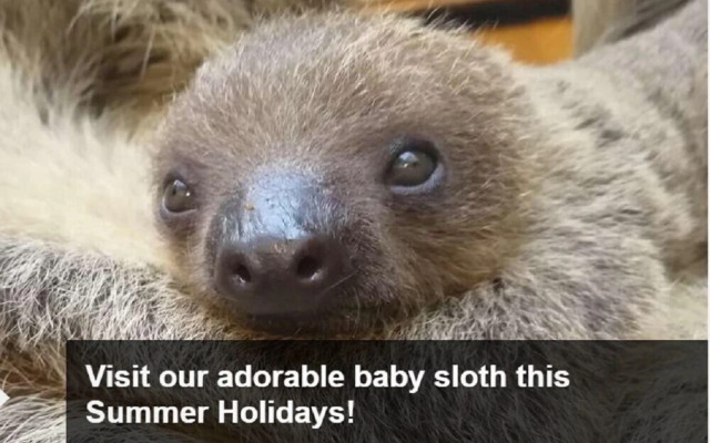 Second Nest Regents Park