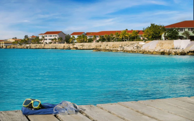 Sand Dollar Bonaire