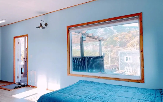 Assimilation of Forest