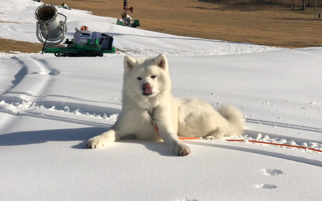 白樺湖ペンションロック