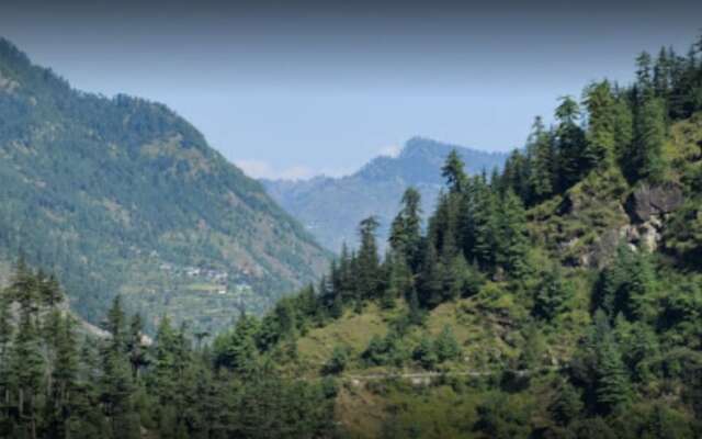 Wilderness Home Jibhi