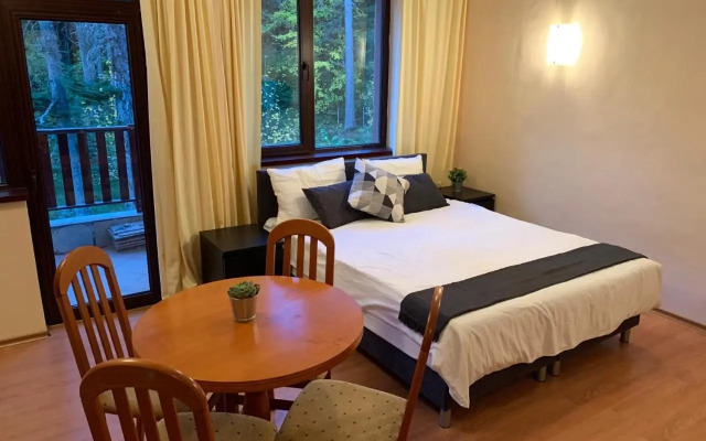 Flora Ski-slope Studio Apartment
