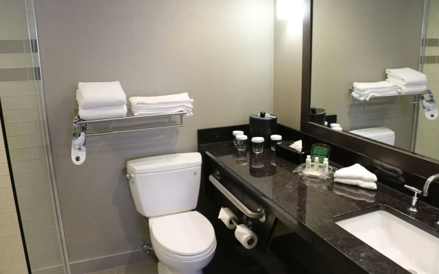 Holiday Inn Calgary-Airport by IHG