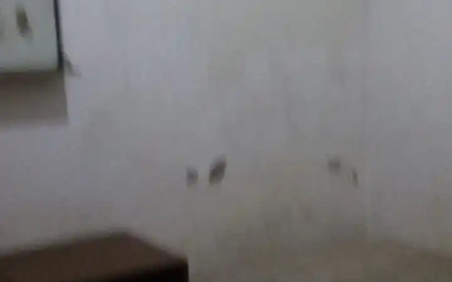 Penginapan Meli by ZUZU