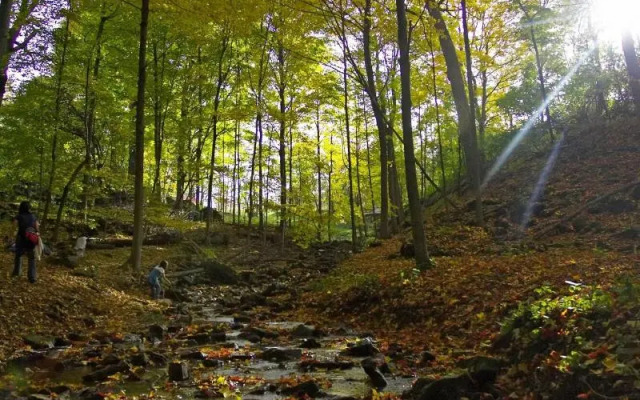 TownePlace Suites by Marriott Hamilton