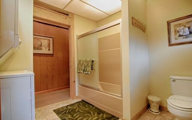 The Bernstein Bear Cabin