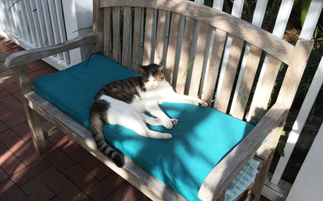 Ella's Cottages - Key West Historic Inns