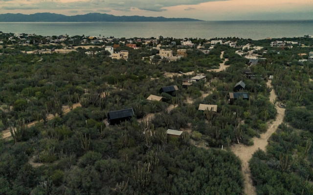 Cactacea Hidden Villas