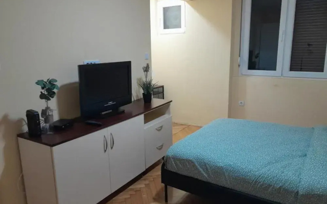 Cozzy and Centrally Located Apartment Vracar