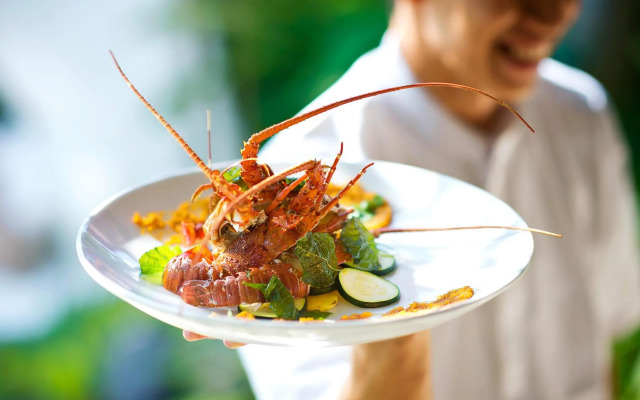 Planta Luxury Boutique Resort