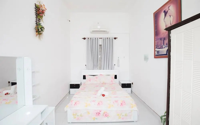 Tran Duy City Villa 2
