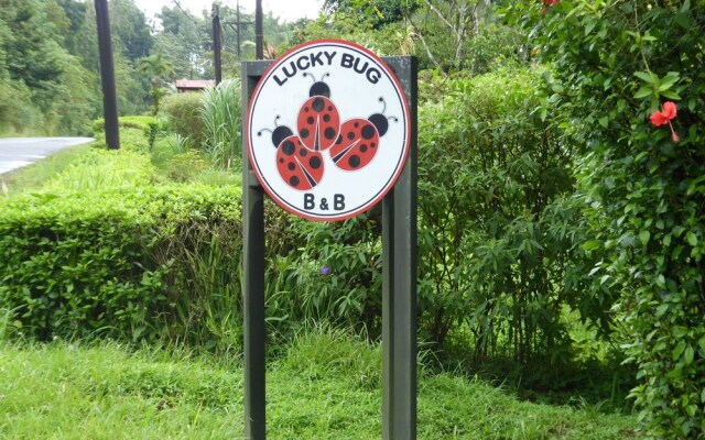 Lucky Bug B & B