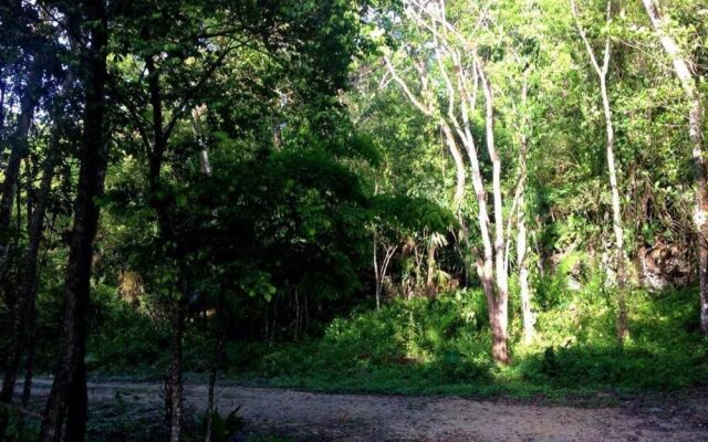 Cocao Rainforest Lodge