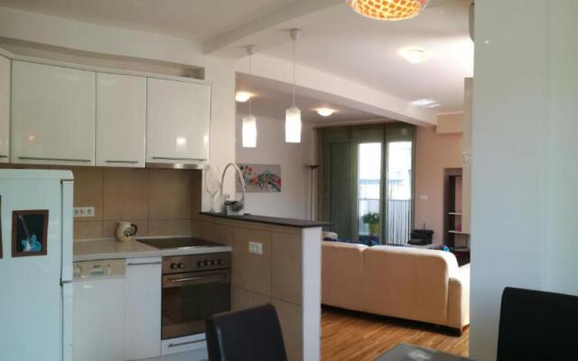 Shumice Apartment