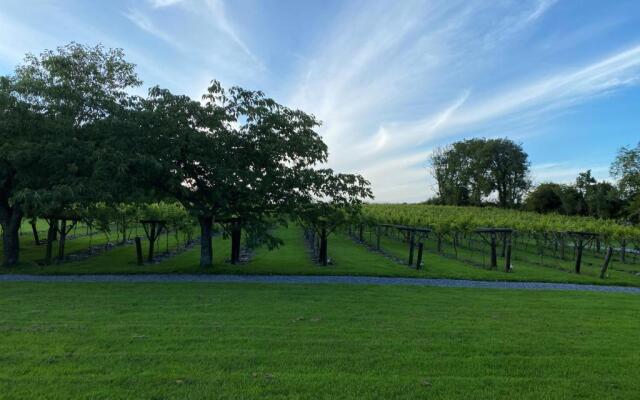 Jabajak Vineyard Restaurant With Rooms