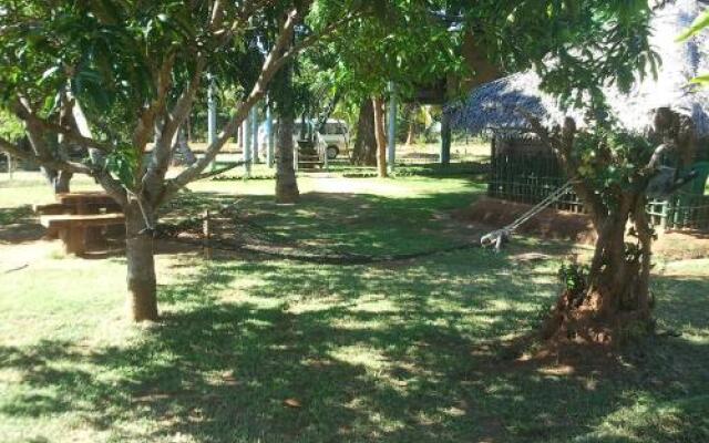 Yala Eco Tree House