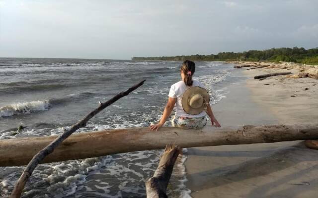 Urantia Beach Hostel & Camping