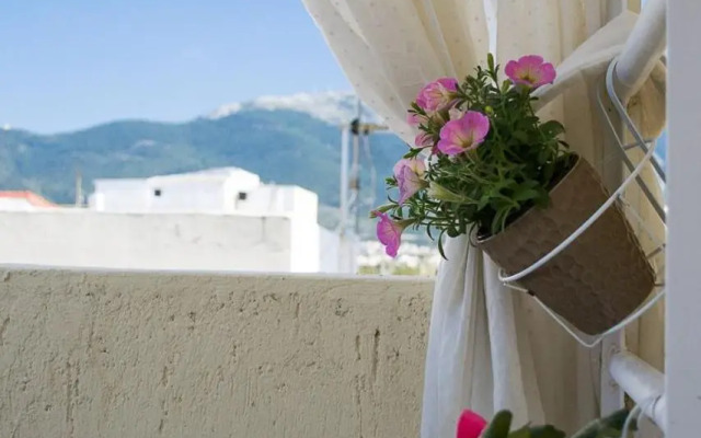 INSPIRATION Guestroom with Amazing Roof Garden