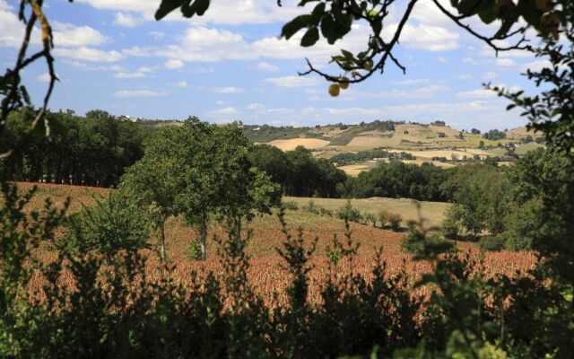 South Tarn Gites - Deluxe and Tranquil near Lautrec Village
