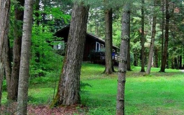 Stowe Cabins in the Woods