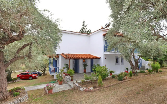 Panos Studios